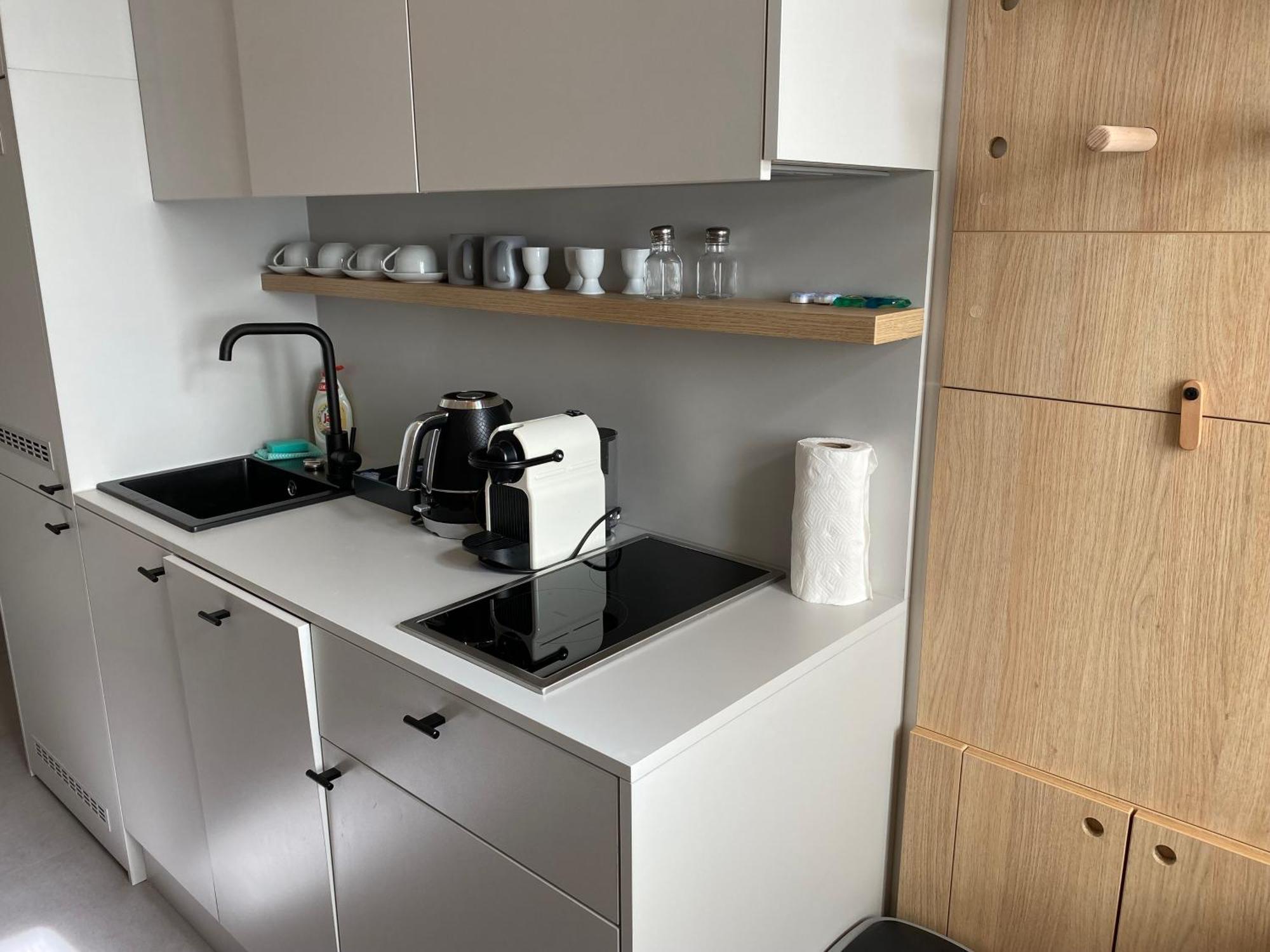 Honest Karlin Aparthotel Prague Room photo